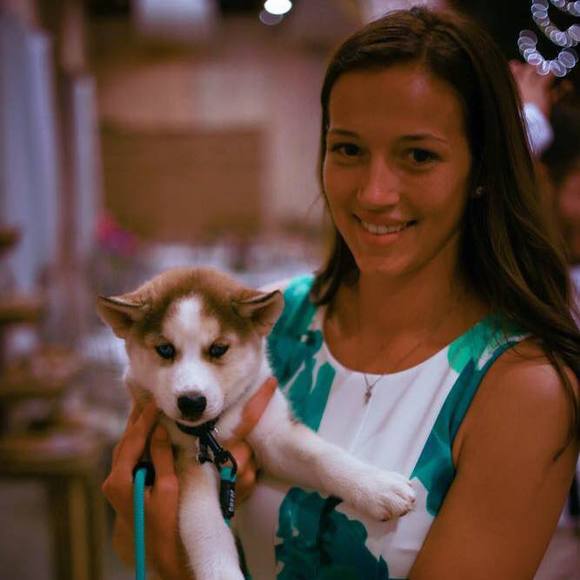 Meet your Posher, Harley - Picture 1 of 1